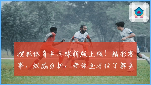 搜狐体育乒乓球新版上线!精彩赛事、权威分析,带你全方位了解乒乓球魅力