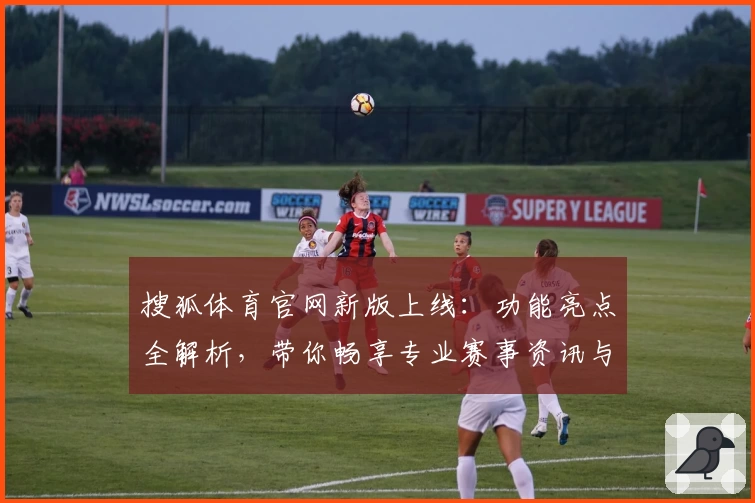 搜狐体育官网新版上线：功能亮点全解析，带你畅享专业赛事资讯与便捷观看体验